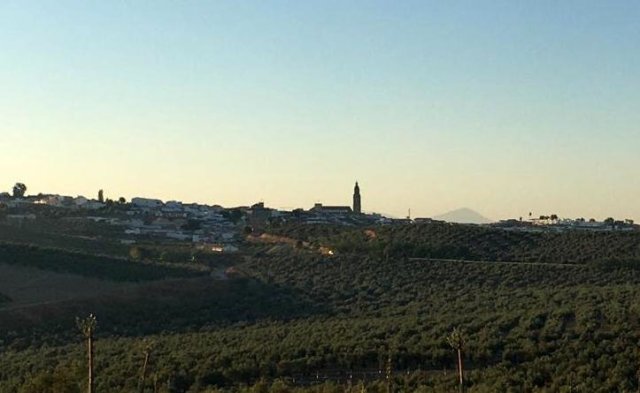 Vista paisajista (2)